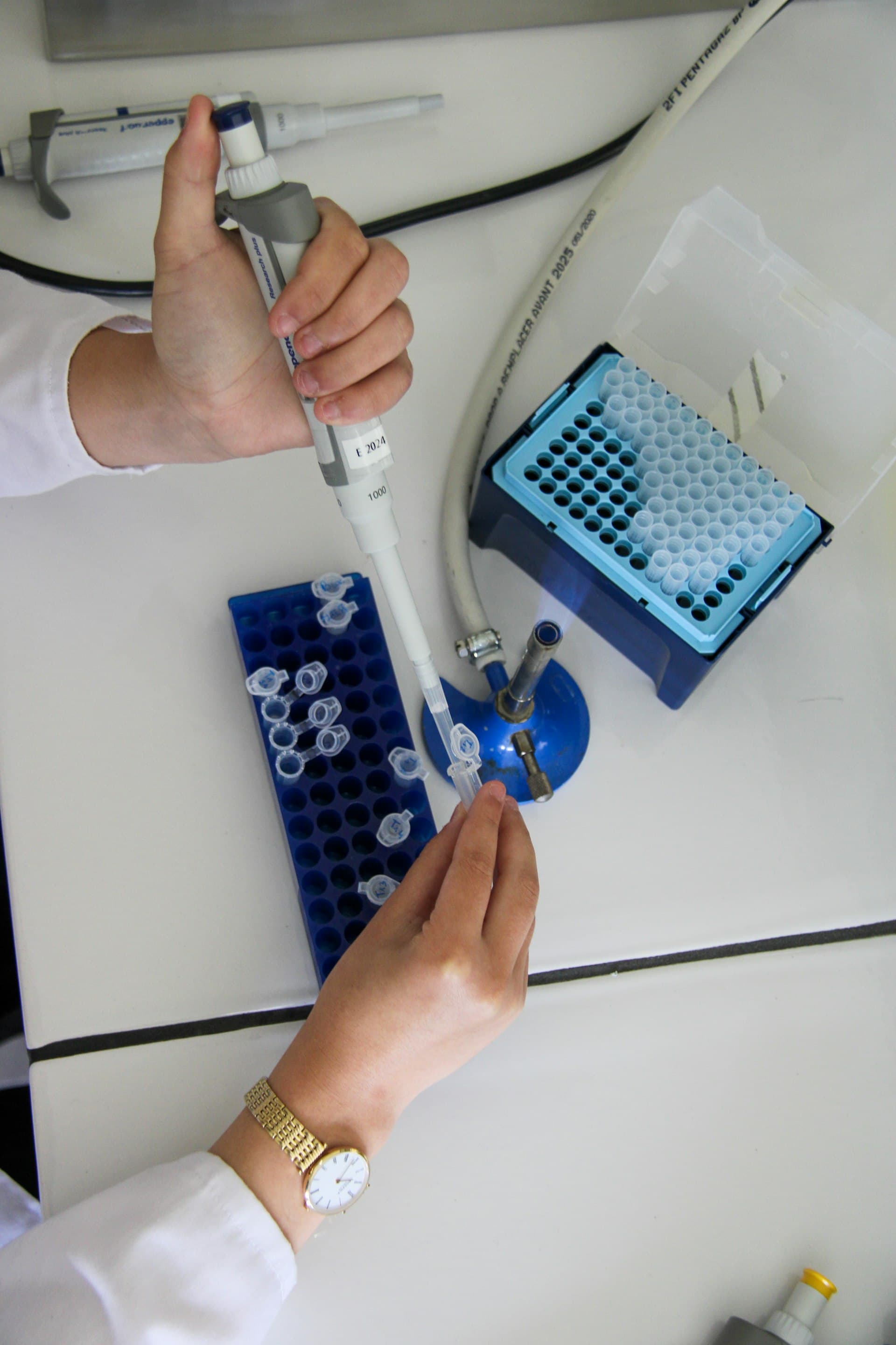 Pharma Case Study 2